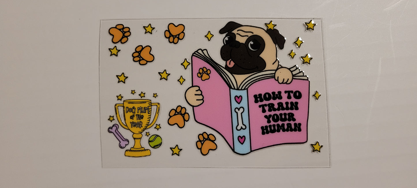 Credit card decals