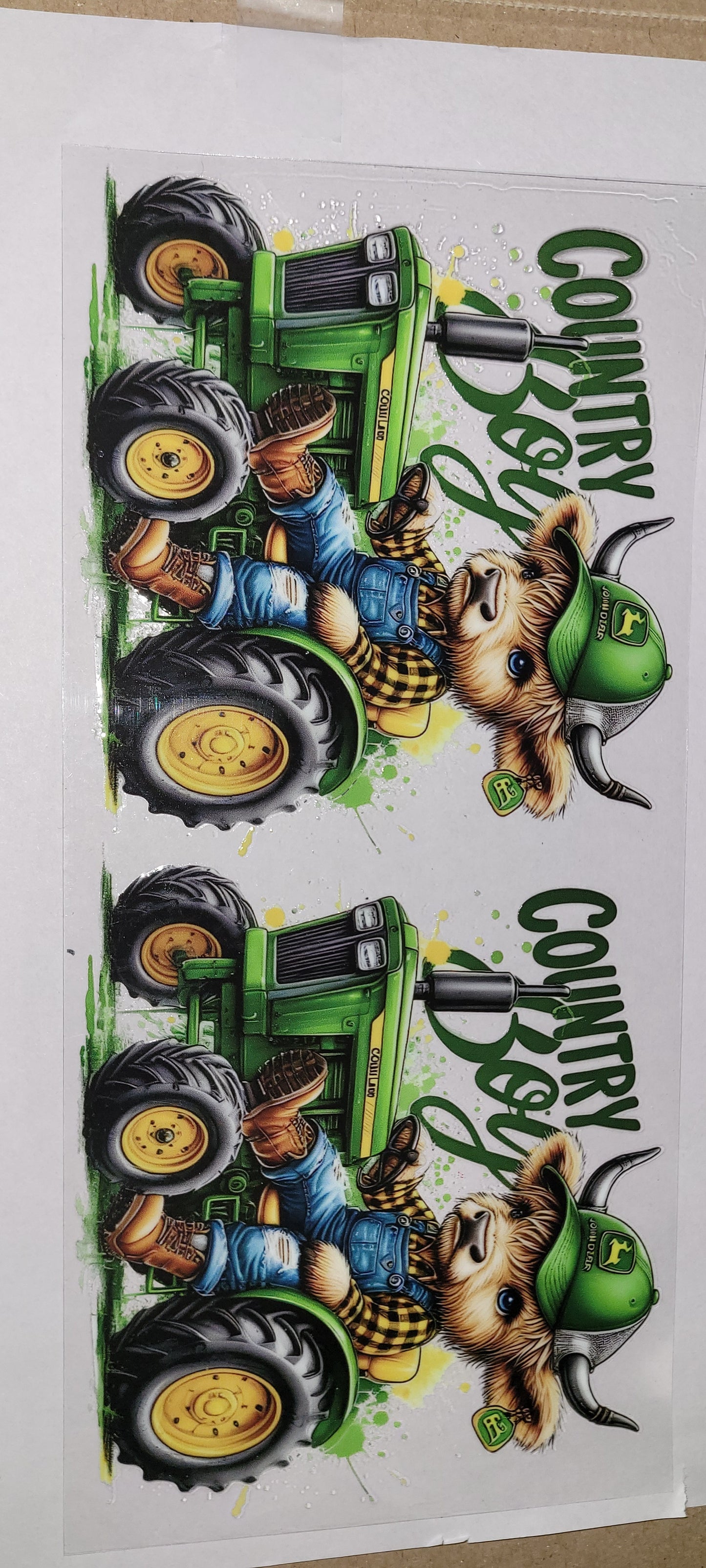 Cows