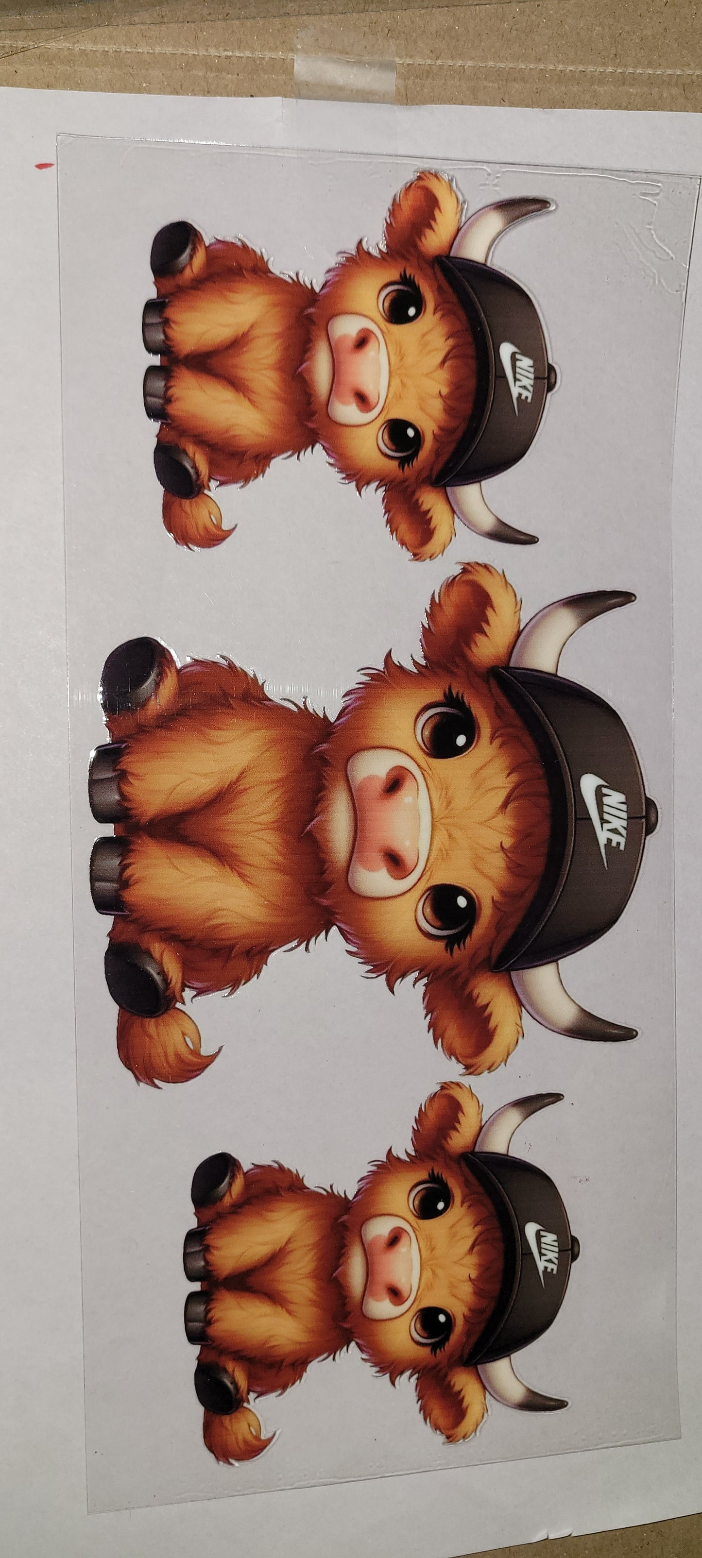 Cows