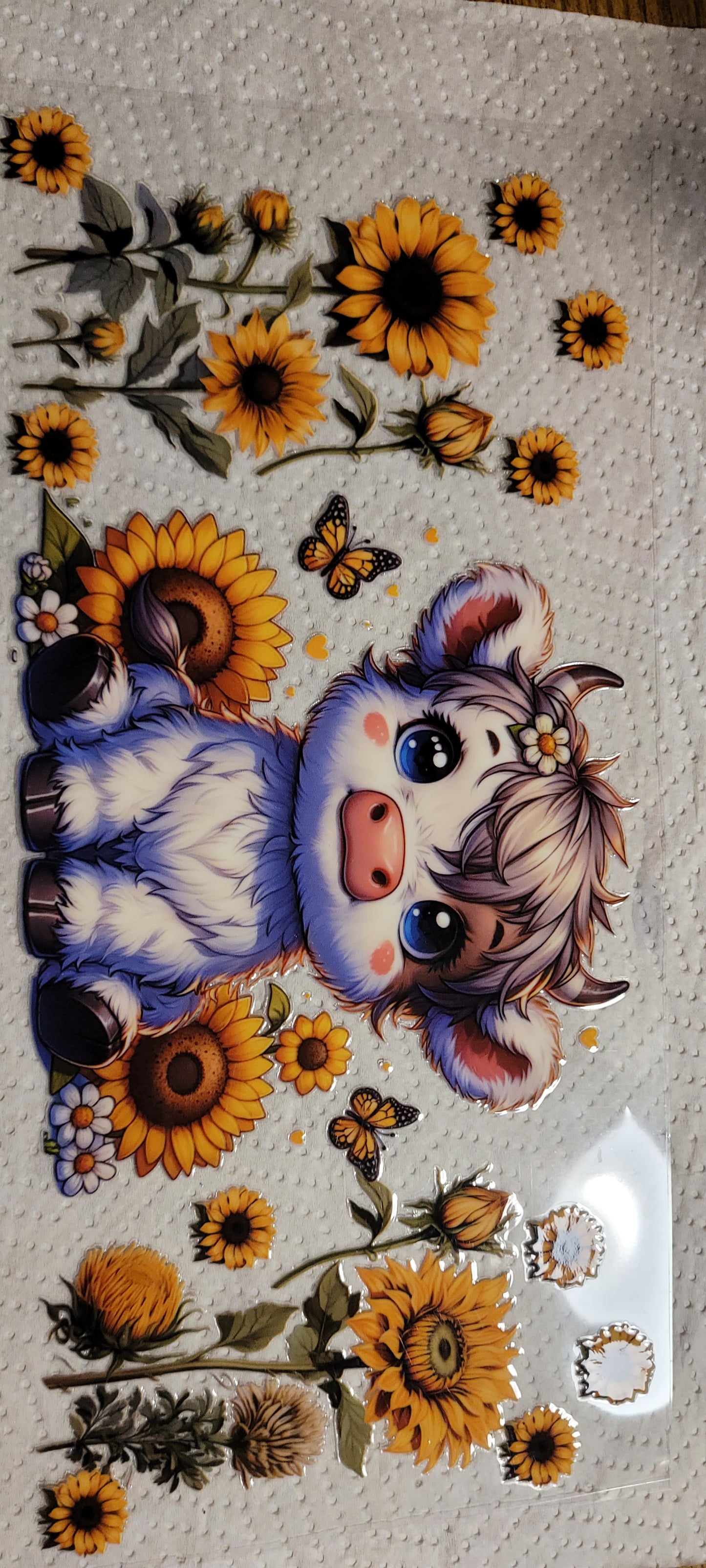 Cows