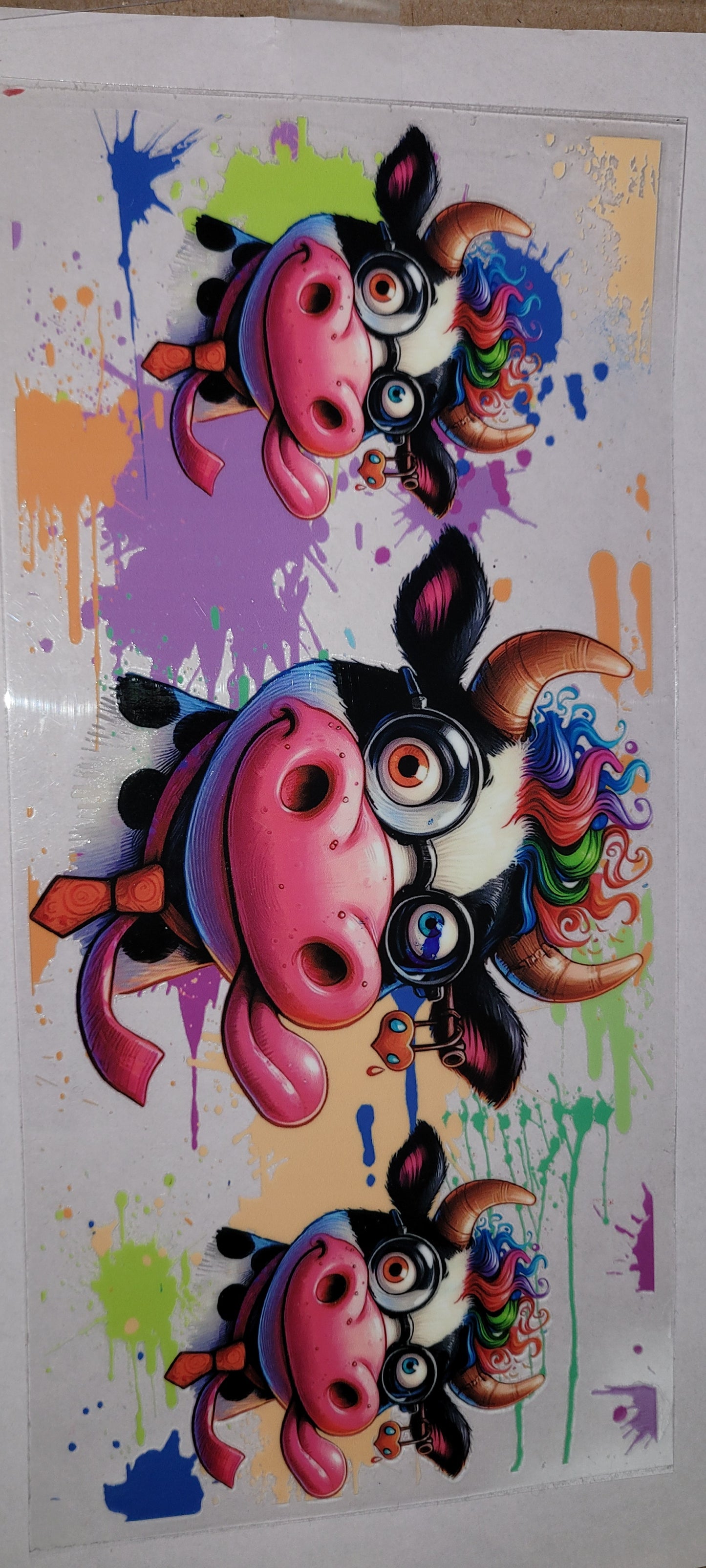Cows