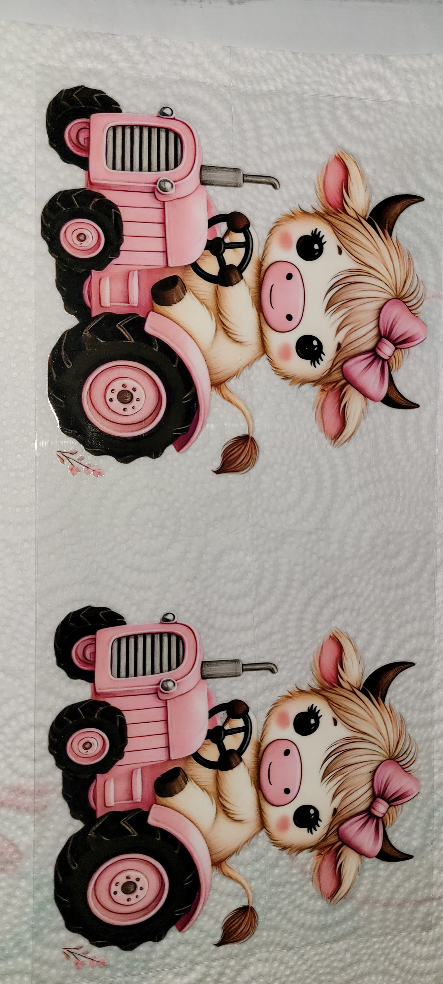 Cows