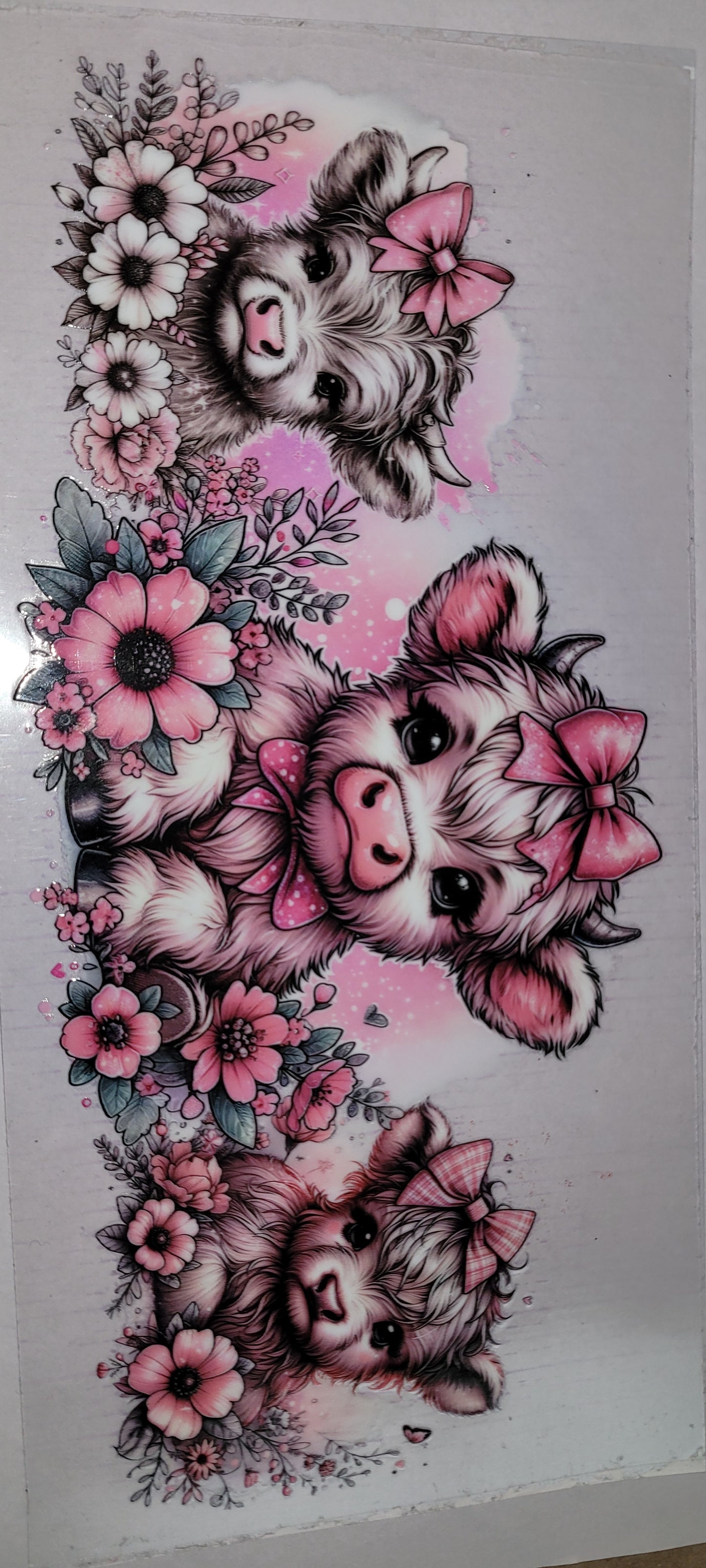 Cows