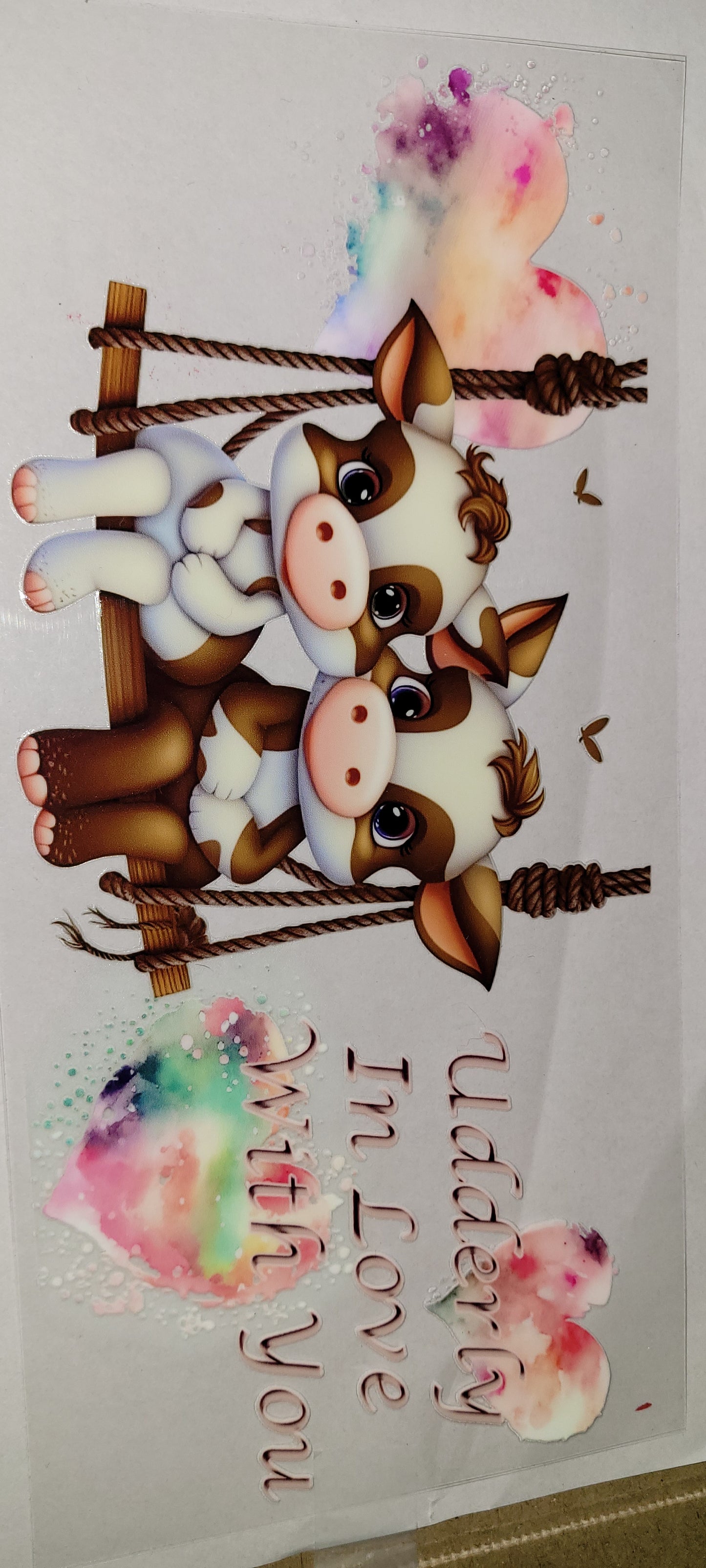 Cows