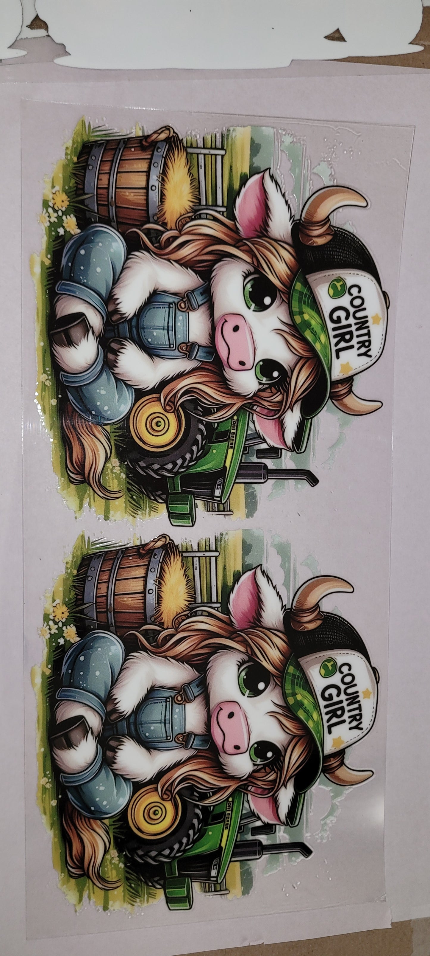 Cows