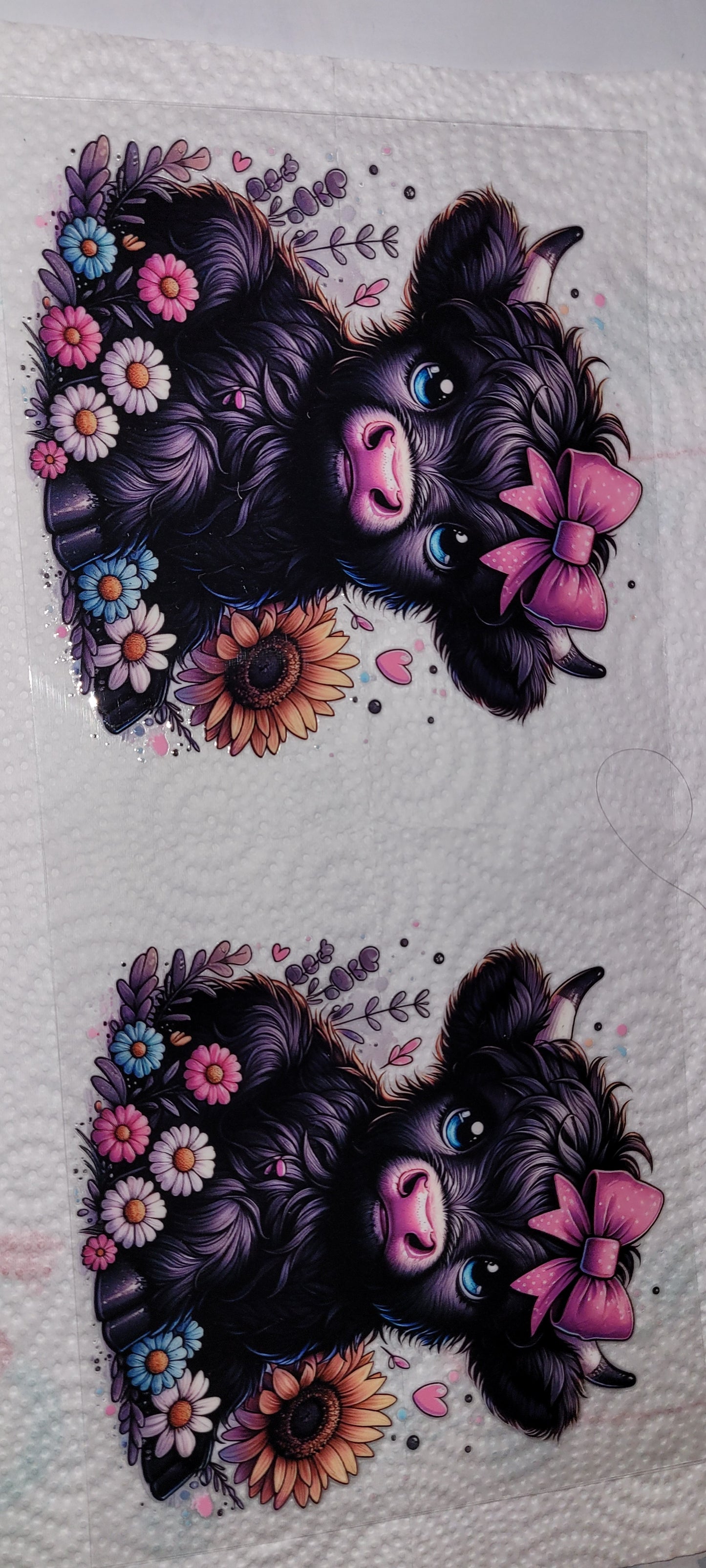 Cows